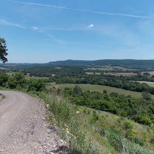 View of tree covered valley and farmland with gravel road in the foreground