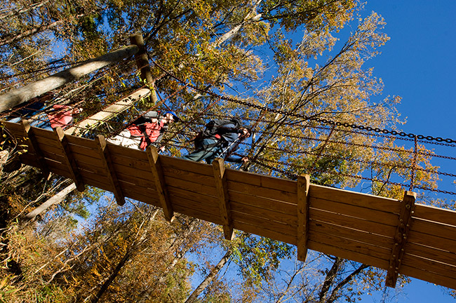 White tourists on suspended wooden walking bridge as seen from below