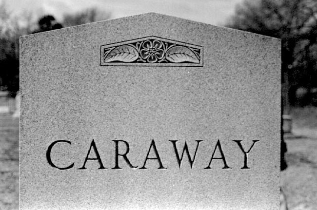 Close-up of "Caraway" grave monument with floral design on top
