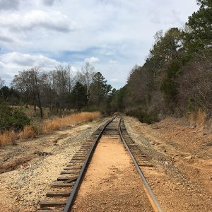 Railroad tracks on dirt with trees on either side