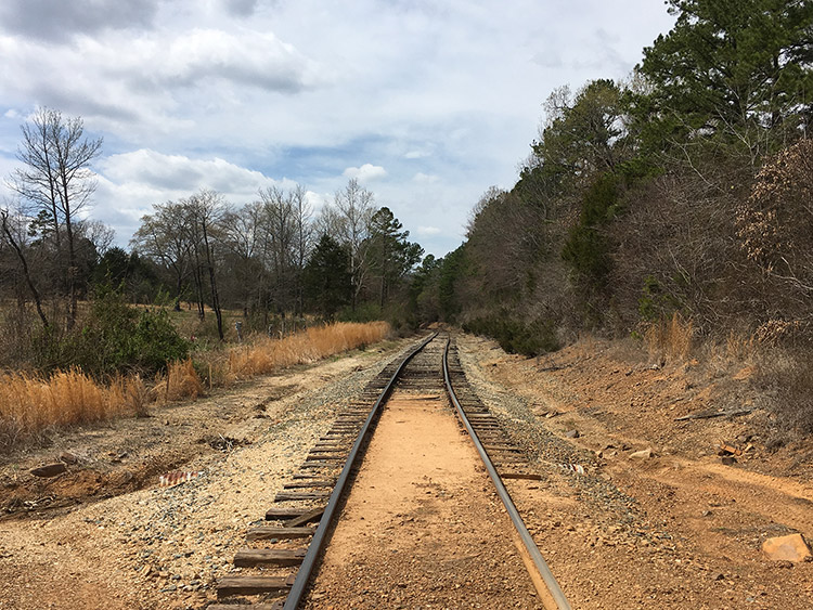 Railroad tracks on dirt with trees on either side