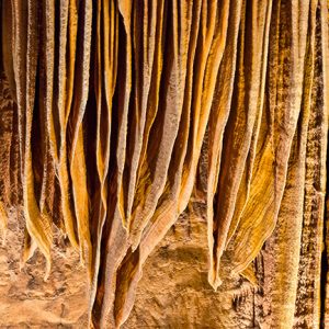 Layered rock features on cave ceiling