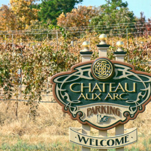Vineyard plants and sign with autumn trees in the background