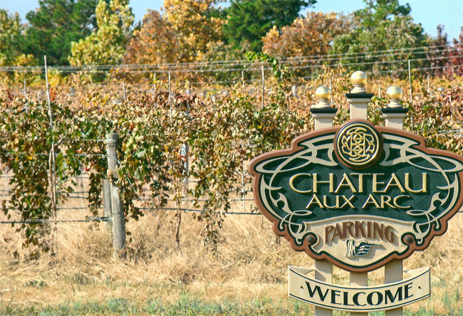 Vineyard plants and sign with autumn trees in the background