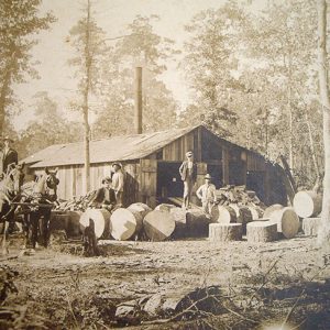 White men posing with and one standing on tree sections at lumber mill with horse drawn cart in the left hand corner
