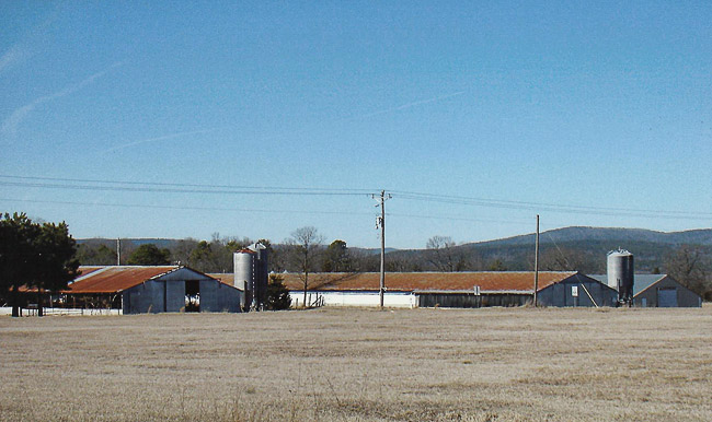 Field with three chicken houses with silos and blue skies with hills in background