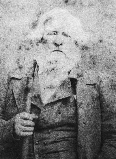 Old white man with long beard in suit