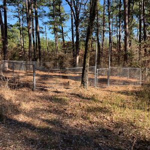 Fenced in cemetery in wooded field