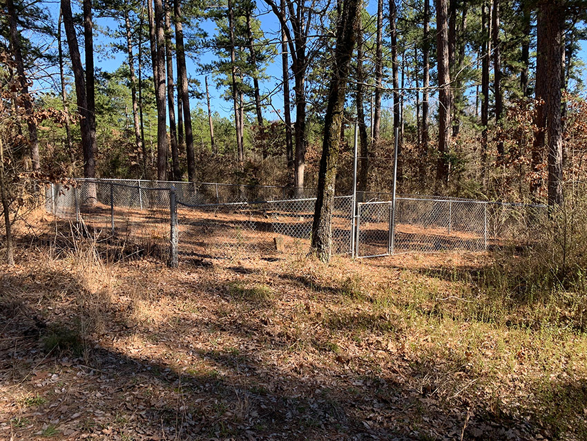 Fenced in cemetery in wooded field