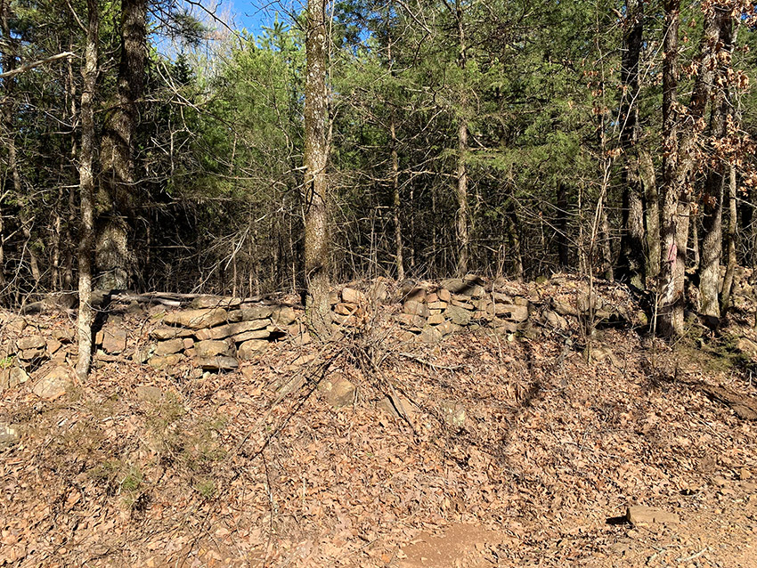 Stone wall in a forest