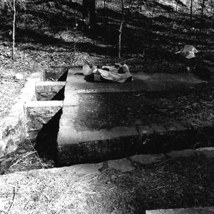 Spring well with brick walls in forested area