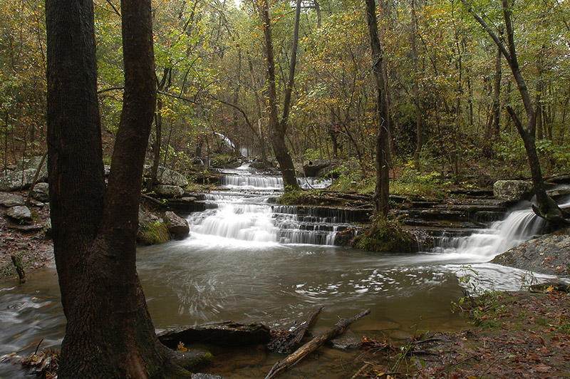 Natural waterfall with creek pool and trees
