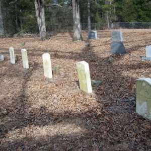 Lines of grave stones and trees on leaf-covered ground in cemetery