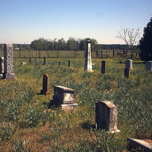 Rows of graves in a field bordered by an iron fence with trees in the background