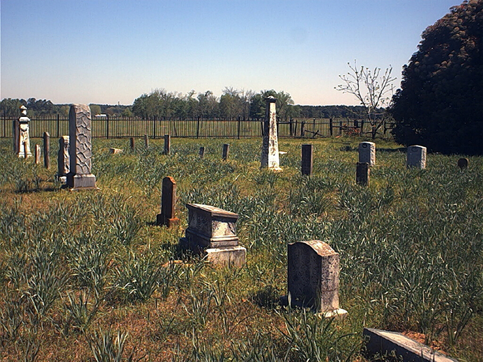 Rows of graves in a field bordered by an iron fence with trees in the background