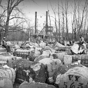 Cotton bales waiting to be loaded onto steamboat on river