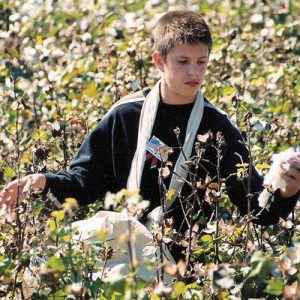 Young boy in long sleeve shirt picking cotton with a bag around his neck