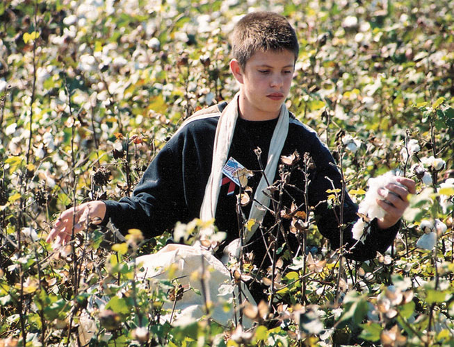 Young boy in long sleeve shirt picking cotton with a bag around his neck