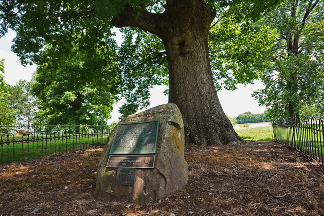 Stone marker with information plaques under a tree in an area lined with small wrought-iron fence