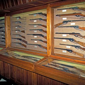 Rows of guns in display cases behind glass