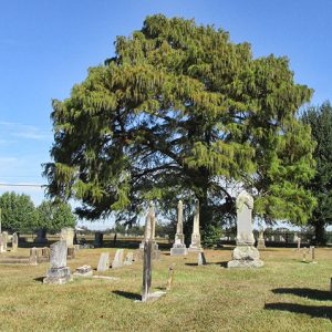 Monuments and gravestones in cemetery with trees