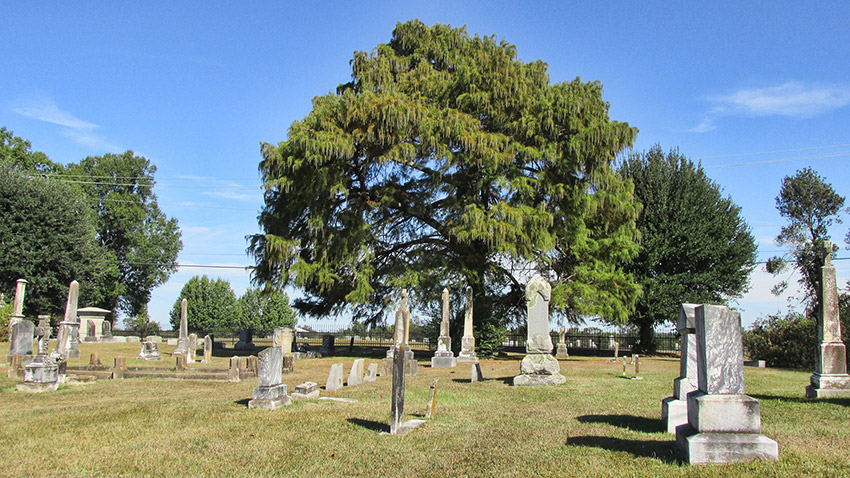 Monuments and gravestones in cemetery with trees
