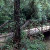 Steel truss bridge over creek