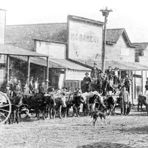 Men in hats with horse-drawn wagons and livestock on city street with buildings behind them