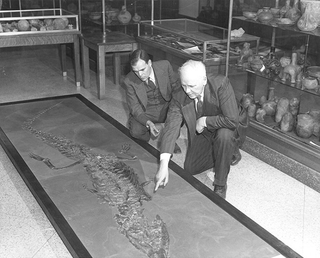 White man and older white man in suits looking at large reptile fossil with display cases behind them