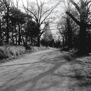 Vacant two-lane road with trees on both sides