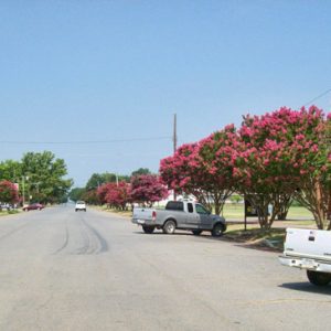 Parked trucks on rural street with trees and water tower in the background