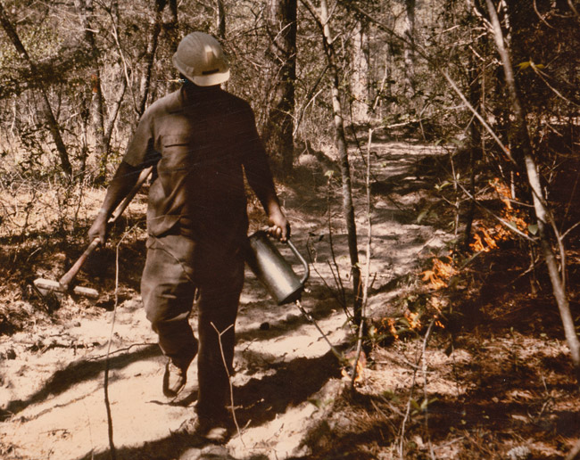 African-American man with tools and hard hat in forest