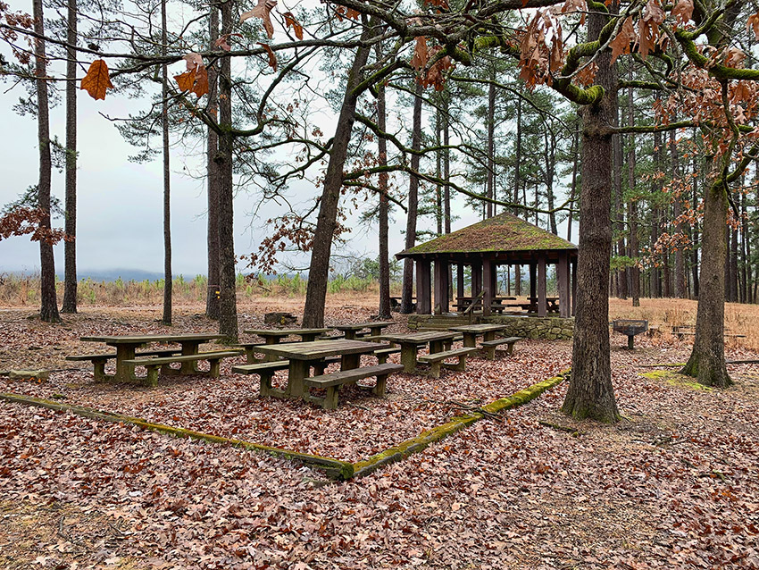 Picnic benches and pavilion in forested area