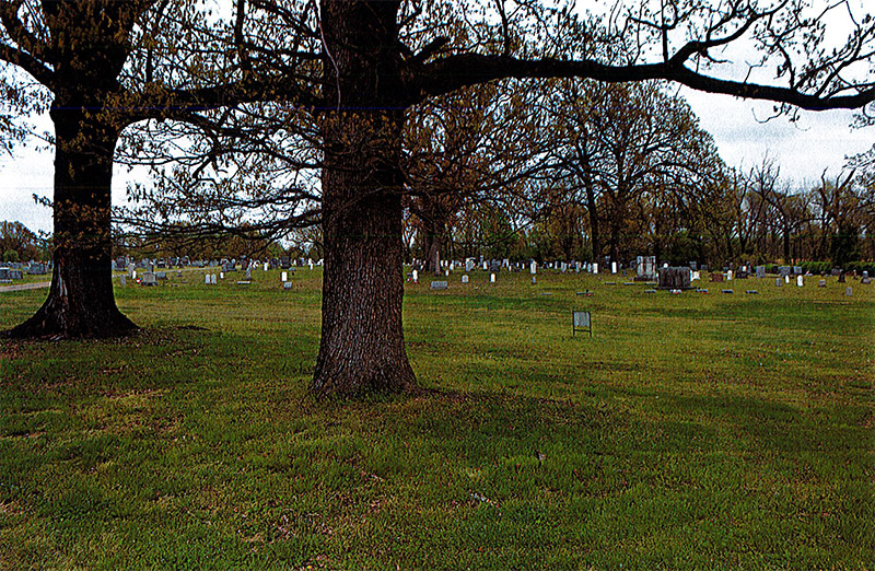 Trees and gravestones in cemetery