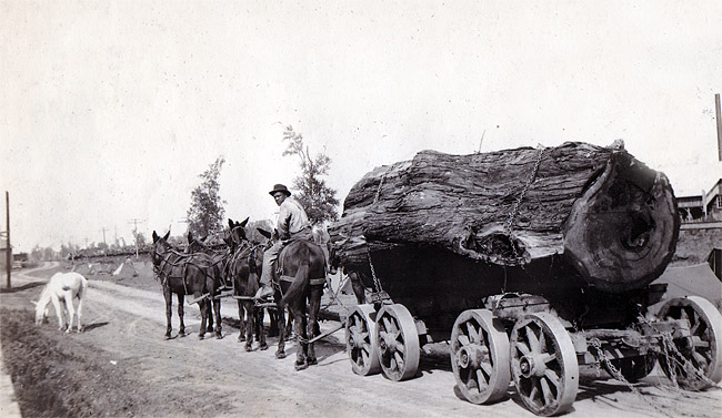 African-American man pulling a huge log with a horse-drawn wagon