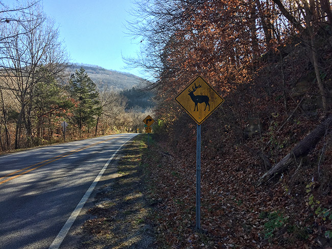 Elk crossing signs on highway with fall foliage and mountain in the background