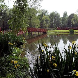Bridge over a pond with flowering plants