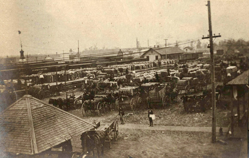 Wagons loaded with cotton bales at train depot