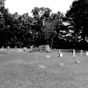 Gravestones in cemetery with trees in the background