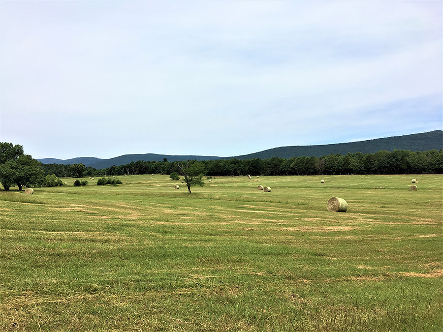Hay bales in grass covered field with trees and hills in the background