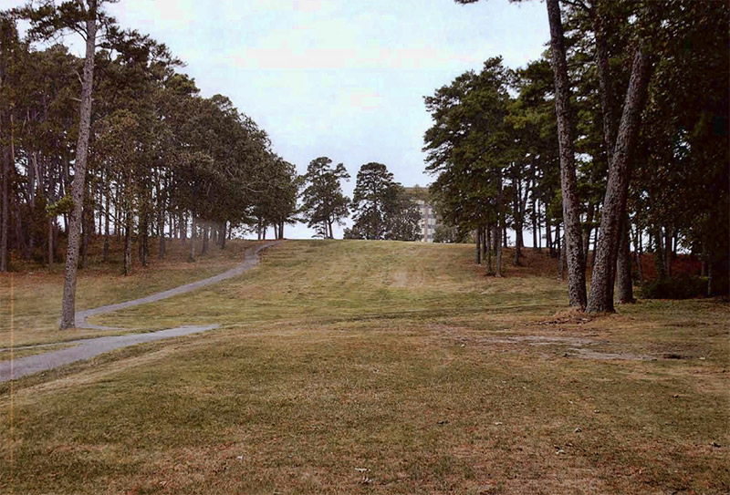 Fairway with trees and walking path on golf course