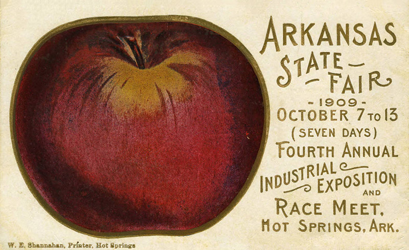 Apple on "Arkansas State Fair 1909" post card