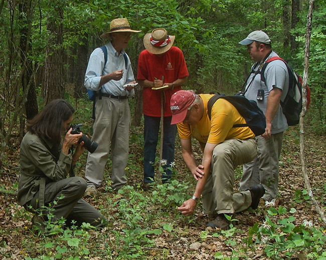 Group of men in hats and a woman taking pictures in forested area