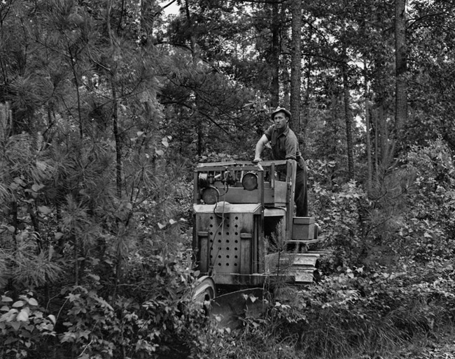 White man in hat using plow machine in forest