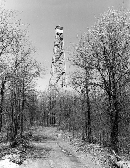 Tall fire tower in forest with bare trees