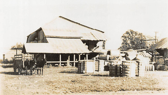 Stacks of cotton bales outside gin buildings with horse drawn wagon and two horses