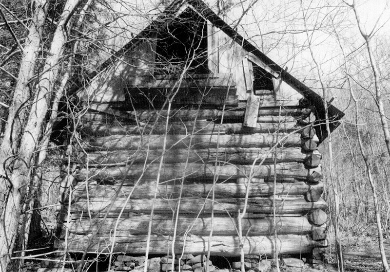 Side view of log cabin in wooded area