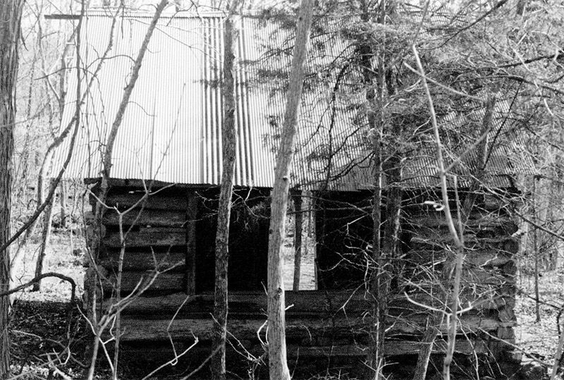 Window in side of single-story log cabin in wooded area