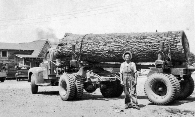 White man in overalls and hat with logging truck carrying a massive log and building with truck in the background