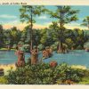 Creek with cypress trees and stumps on shore on postcard